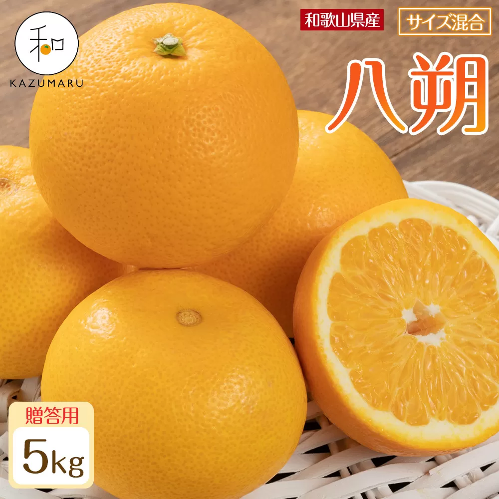 贈答用 森本農園の手選別 八朔 約5kg 和歌山県産 サイズ混合 ［北海道・沖縄・離島配送不可］［2026年1月中旬から2月中旬頃順次発送予定］［RN123］