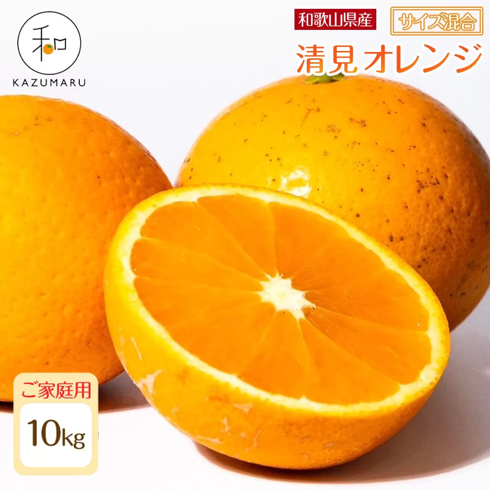 家庭用 森本農園の手選別 清見オレンジ 10kg 和歌山県産 サイズ混合 ［北海道・沖縄・離島配送不可］［RN39］［2026年2月上旬から5月中旬頃順次発送予定］