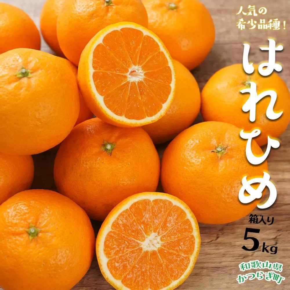 はれひめ（ミカンの希少種） 秀品  約5ｋｇ（25個～30個入）［先行予約］［2025年12月中旬頃から発送］［KG3］