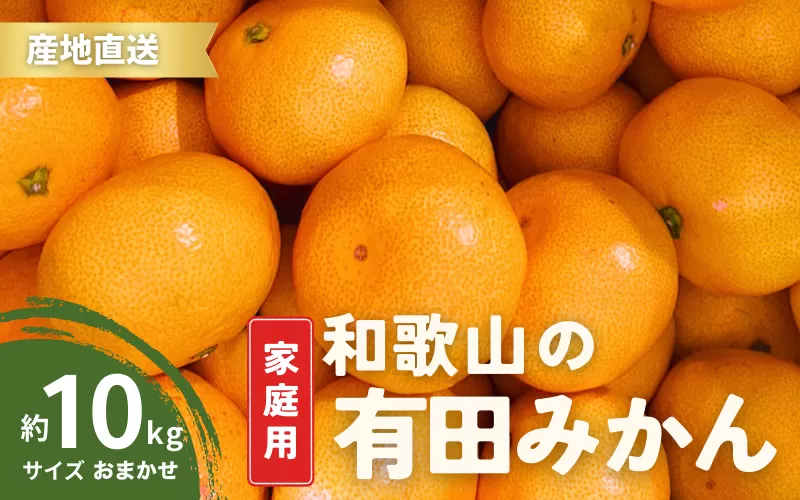 【12月発送】家庭用 有田みかん 和歌山 訳あり わけあり S～Lサイズ 大きさお任せ 10kg / みかん フルーツ 果物 くだもの 有田みかん 蜜柑 柑橘【ktn008B-12】