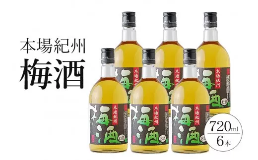 本場紀州 梅酒 6本セット