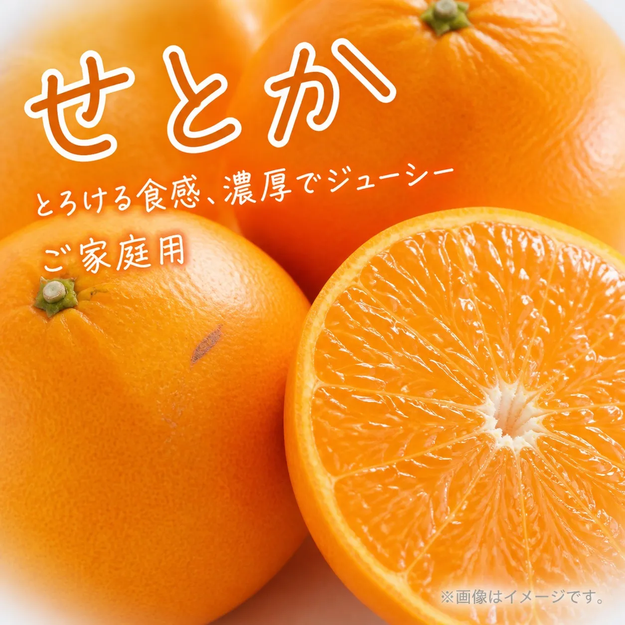 【ご家庭用】紀州和歌山産 せとか 約5kg 【先行予約】2027年2月中旬頃〜3月中旬頃に順次発送予定(お届け日指定不可)　※離島配送不可　訳ありせとか 訳ありみかん みかん 訳アリ