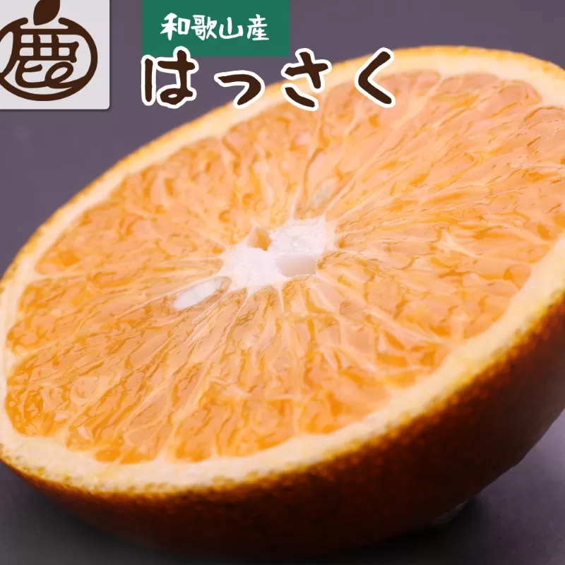 ＜先行予約＞家庭用はっさく10kg+250g（傷み補償分）【八朔みかん】＜1月より発送＞ ※北海道・沖縄・離島への配送不可