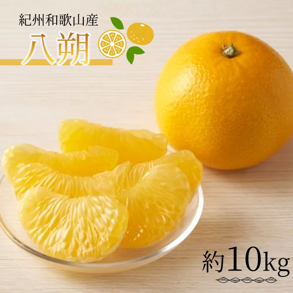 紀州和歌山産 八朔（はっさく） 約10kg ※2026年2月上旬頃～2026年2月下旬頃に順次発送 ※日付指定不可 八朔 はっさく 柑橘 果物 くだもの フルーツ
