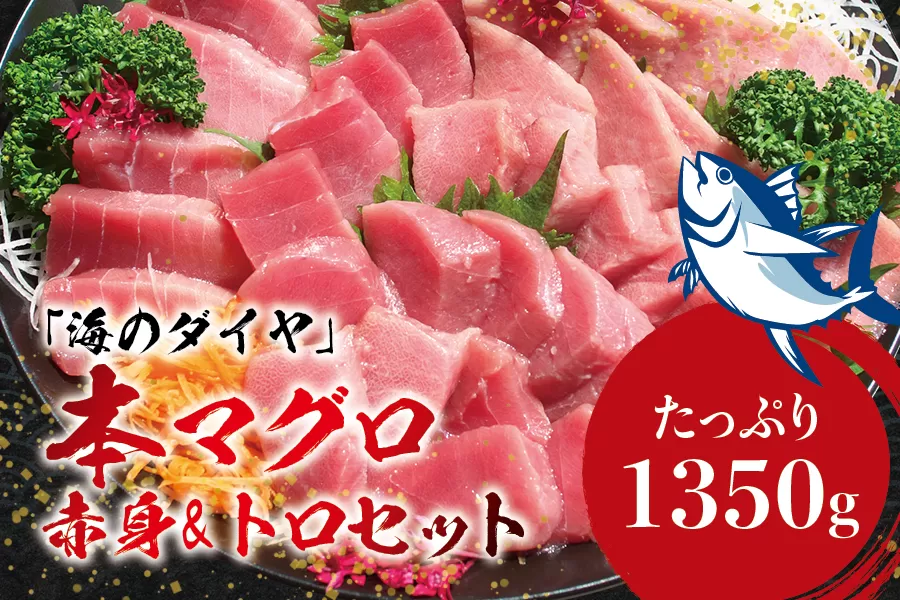 本マグロ（養殖）トロ＆赤身セット 1350g 【10月発送】まぐろ 刺身 鮪 本鮪 クロマグロ 赤身 中とろ 大容量