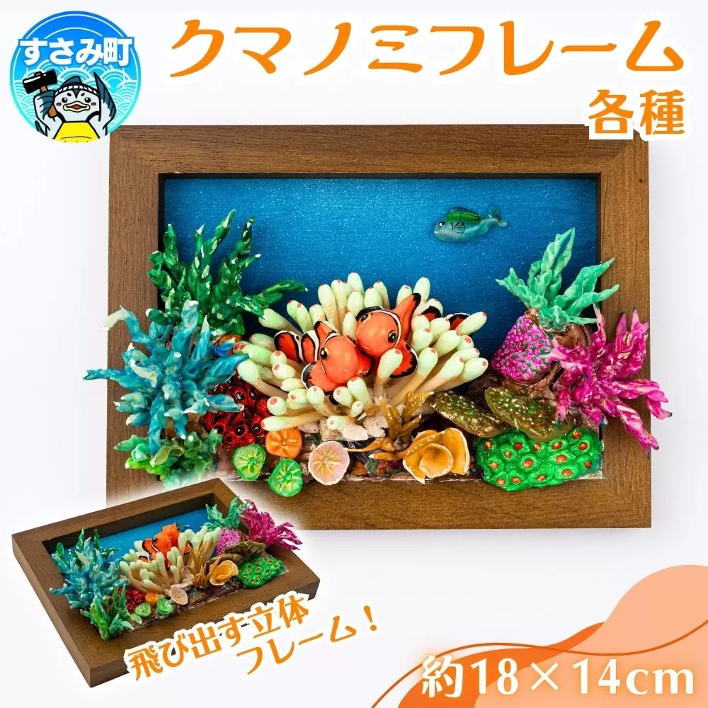 クマノミ各種　フレーム  /  魚 さかな フィッシュ 釣り 海 うみ クマノミ 海水魚 海の生き物 鍵 かぎ 家 車 自転車 かわいい お土産 雑貨 思い出 プレゼント ギフト すさみ