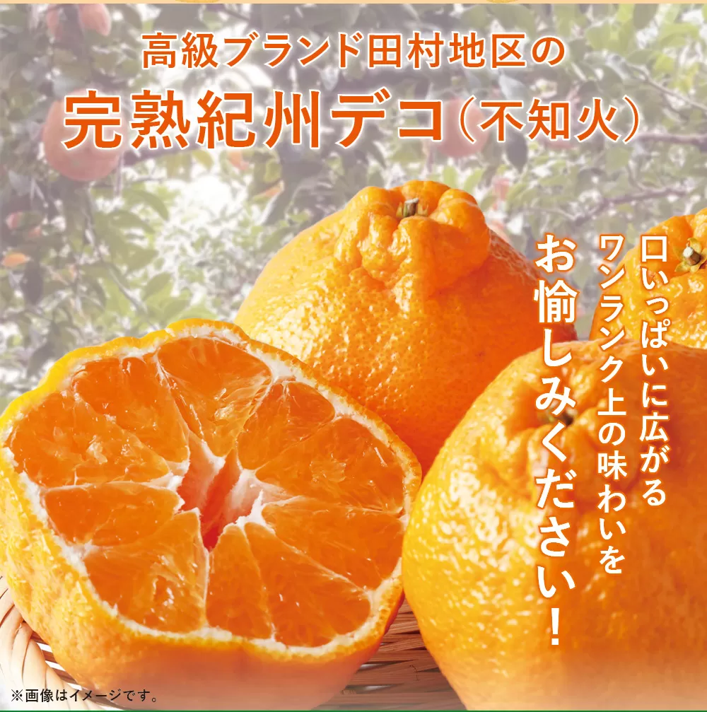 高級ブランド田村の完熟紀州デコ(不知火)約8kg＜2027年3月から順次発送＞【uot867】