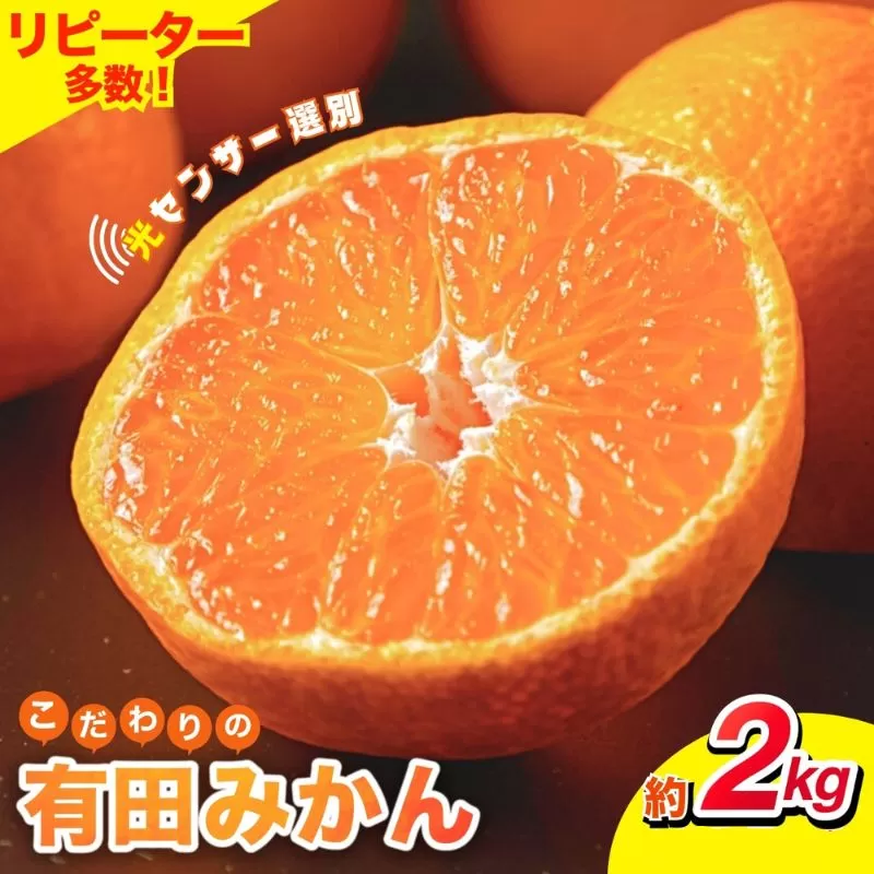 【2026年11月発送】【家庭用】こだわりの有田みかん 約2kg【11月発送】 ※北海道・沖縄・離島配送不可 / みかん くだもの 柑橘 オレンジ