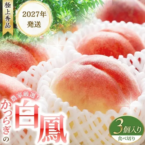 【予約受付】桃の王様 白鳳 <特秀品> うれしい食べきり容量 3玉 【2027年6月20頃～順次発送予定】（お届け日指定不可）/ 桃 もも 白鳳 フルーツ 果物 くだもの 【kgr010】