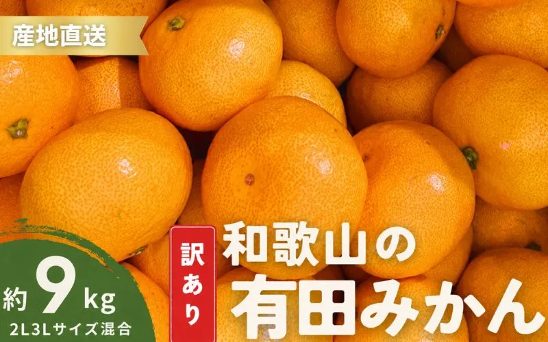 家庭用 有田みかん 和歌山 訳あり わけあり 大玉(2L,3Lサイズ混合) 9kg【11月上旬~1月下旬頃に順次発送】/ みかん フルーツ 果物 くだもの 有田みかん 蜜柑 柑橘【ktn012B】