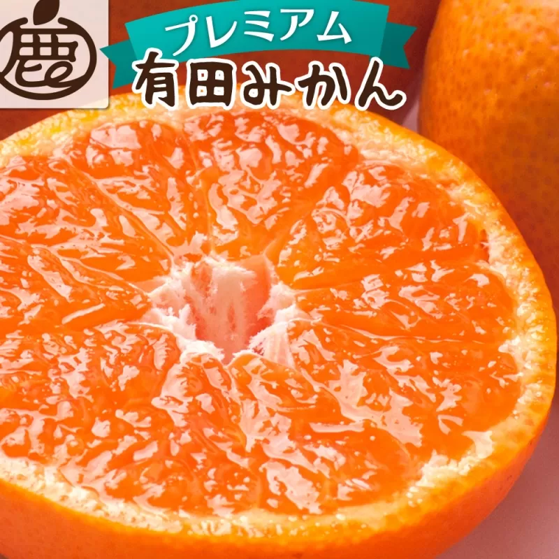 【先行予約】プレミアム有田みかん 10kg+250g（傷み補償分） ※11月より発送(完熟)【光センサー選果】 ※北海道・沖縄・離島配送不可 /みかん ミカン 果物 果実 有田 和歌山 フルーツ オレンジ