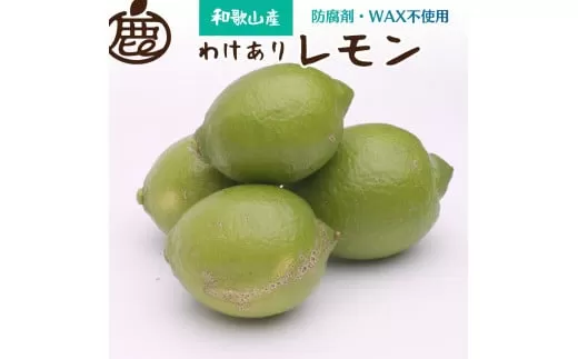 ＜先行予約＞わけあり レモン10kg+250g（傷み補償分）【和歌山有田産】【防腐剤・WAX不使用、安心の国産レモン】【わけあり・訳ありレモン】