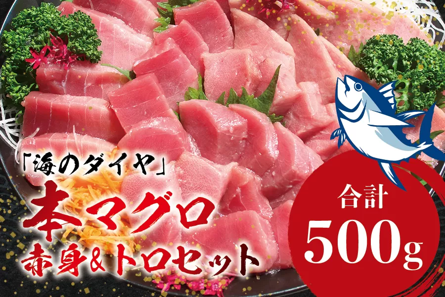 本マグロ（養殖）トロ＆赤身セット 500g 【10月発送】まぐろ 刺身 鮪 本鮪 クロマグロ 赤身 中とろ