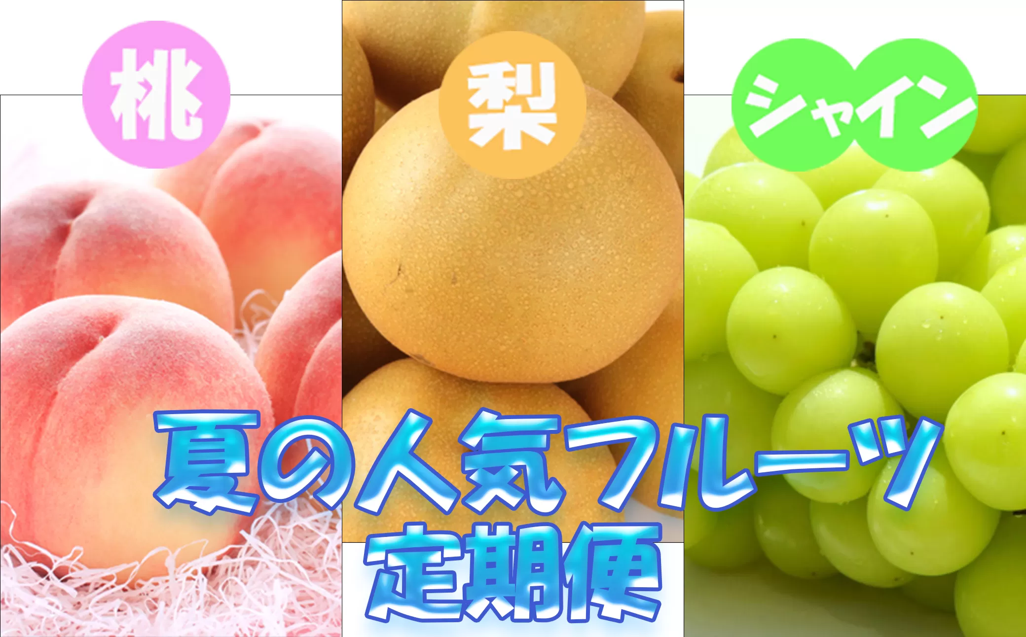 定期便全3回 【7月・8月・9月発送】 和歌山の夏の人気フルーツをお届け（桃・梨・シャイン）