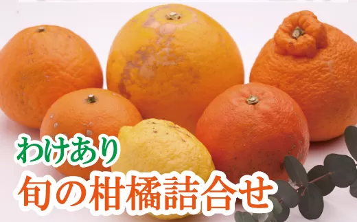 ＜1月より発送＞家庭用 柑橘詰合せ10kg+250g（傷み補償分）【訳あり・わけあり】【有田の春みかん詰め合わせ・フルーツ詰め合せ・オレンジつめあわせ】【光センサー選別】
