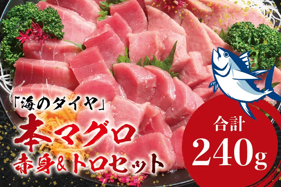 本マグロ（養殖）トロ＆赤身セット 240g 【10月発送】まぐろ 刺身 鮪 本鮪 クロマグロ 赤身 中とろ まぐろたたき まぐろ丼