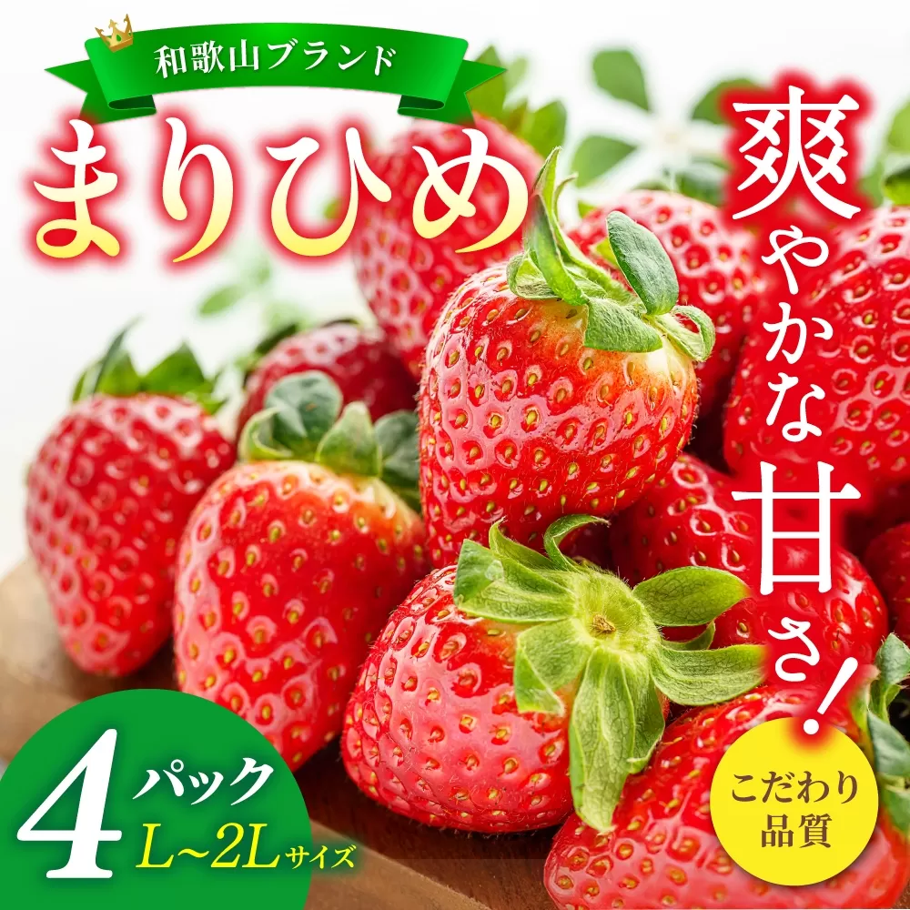 【先行予約】まりひめ いちご 12粒〜15粒入り×4パック（1kg）2026年1月中旬〜2026年3月中旬頃に順次発送予定（お届け日指定不可）/ いちご 苺 まりひめ 和歌山 フルーツ 果物 くだもの【kgr008A】