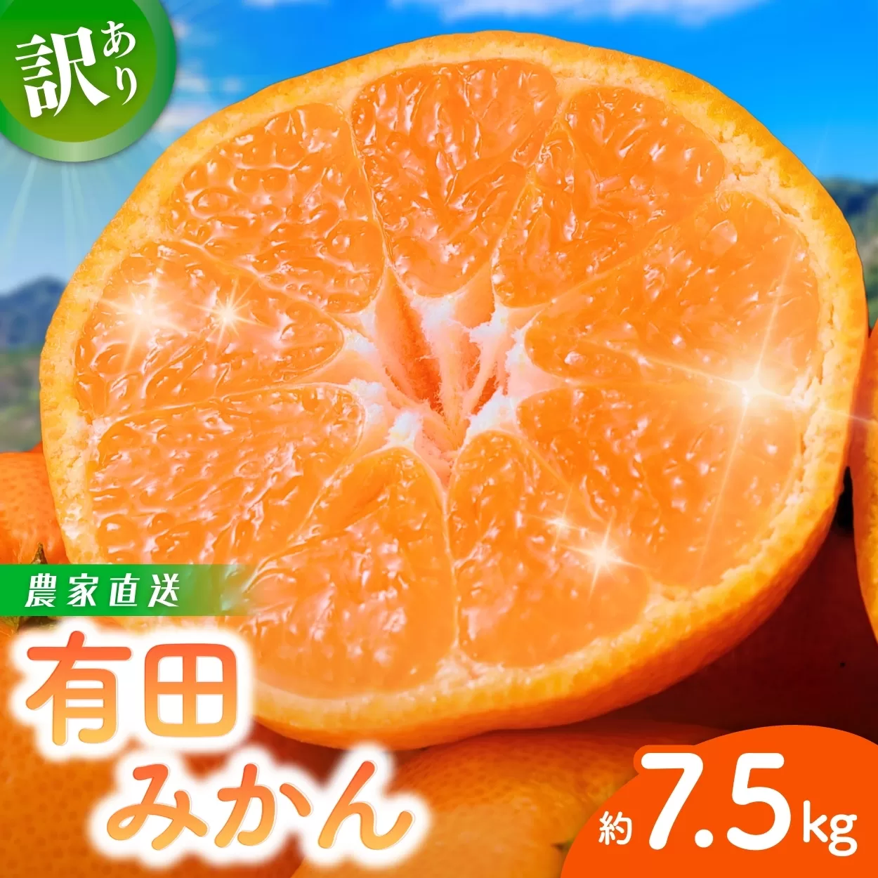 【訳あり】農家直送  有田みかん 約7.5kg ※11月中旬から1月中旬までに順次発送予定お届け日指定不可）※北海道・沖縄・離島への配送不可