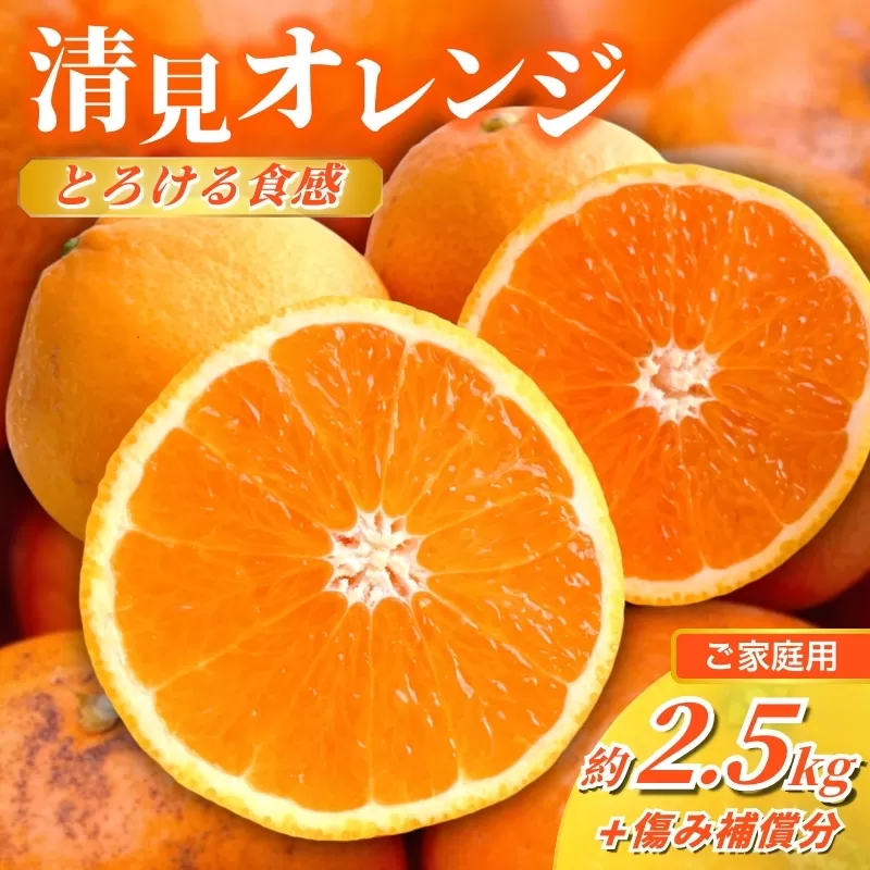 ＜2月より発送＞家庭用 清見2.5kg+250g（傷み補償分）【光センサー食頃出荷】【樹上完熟きよみオレンジ・清見タンゴール・清美】【わけあり・訳あり】