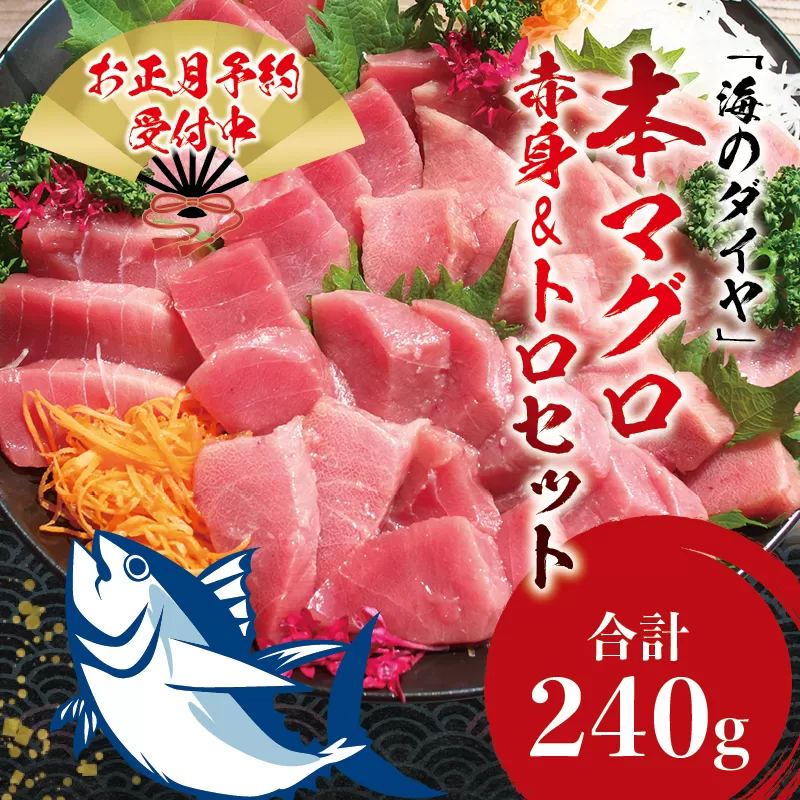 ＼年末発送!お正月に/本マグロ(養殖)トロ&赤身セット 240g [12/26〜30発送] 高級 クロマグロ 中トロ 中とろ まぐろ マグロ 鮪 刺身 赤身 柵 じゃばらまぐろ 本マグロ 本鮪