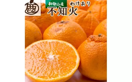 ＜先行予約＞家庭用不知火5kg+250g（傷み補償分）＜2月より発送＞【デコポンと同品種・人気の春みかん】【訳あり】＜2月より発送＞ ※北海道・沖縄・離島への配送不可 フルーツ 果物 くだもの 柑橘 和歌山【ikd163C】