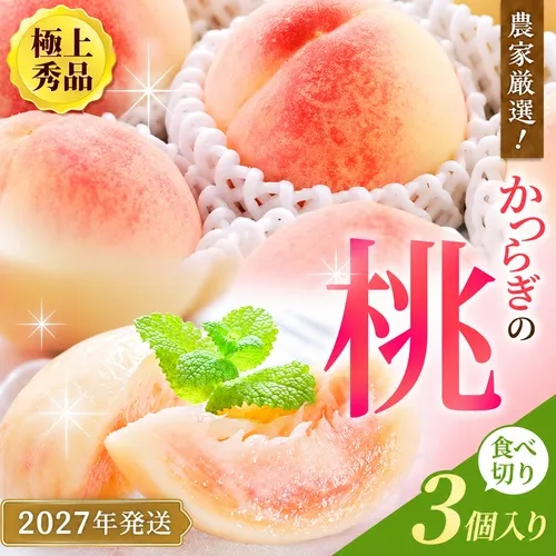 【先行予約】【厳選】あふれる果汁で口いっぱい！ 食べきりサイズ 和歌山県産 桃 3玉 【2027年6月20頃～順次出荷予定】（お届け日指定不可）/ 和歌山 桃 モモ フルーツ もも 白桃 果物 くだもの【kgr002】