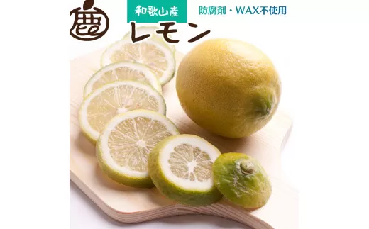 ＜9月より発送＞レモン5kg+250g（傷み補償分）【和歌山有田産】【防腐剤・WAX不使用、安心の国産レモン】