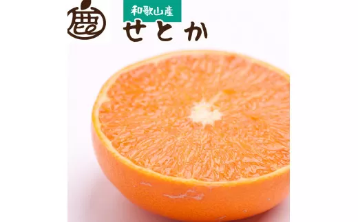 ＜2月より発送＞厳選 せとか10kg+250g（傷み補償分）【柑橘・春みかんの王様】【光センサー選果・食べ頃出荷】【ikd235】