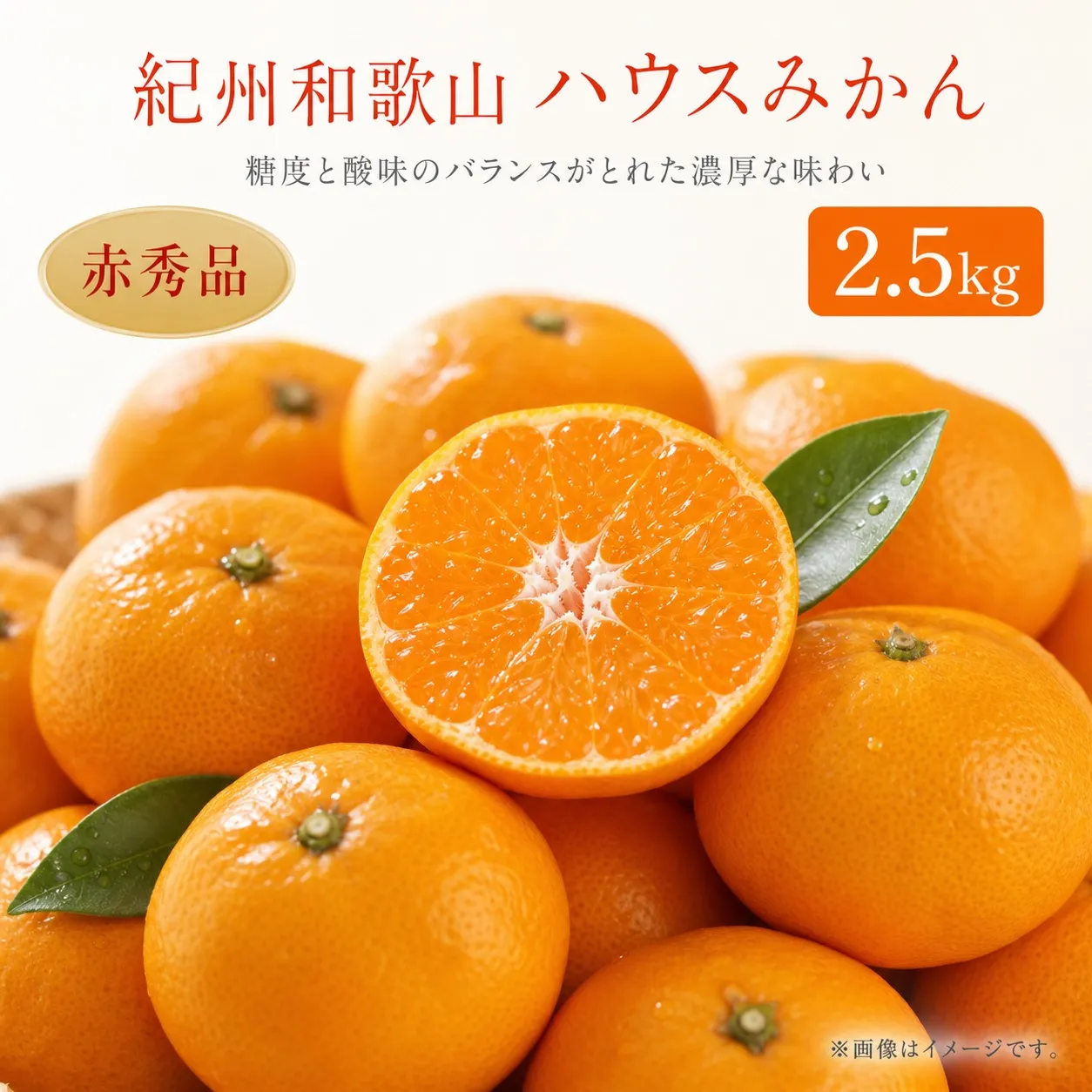 【先行予約】赤秀品 紀州和歌山ハウスみかん 2.5kg【予約】※2027年6月下旬頃~7月下旬頃に順次発送予定(お届け日指定不可) / みかん フルーツ くだもの 果物 柑橘 有田みかん