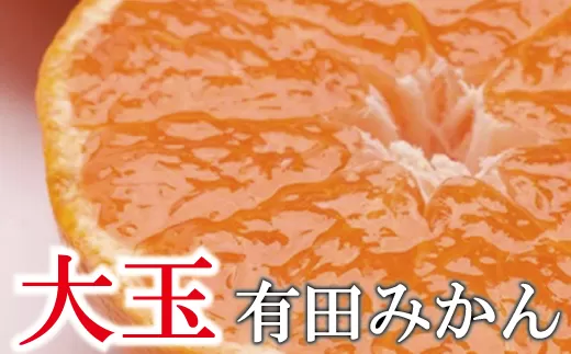 家庭用 大きな有田みかん5kg+250g(傷み補償分)[わけあり・訳あり][光センサー選果] [11月より発送] ※北海道・沖縄・離島への配送不可 / 和歌山 オレンジ 果物 フルーツ 果汁 柑橘 みかん ミカン[ikd156B]