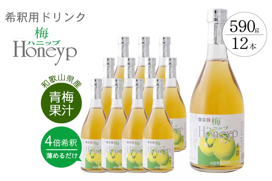 希釈用梅ドリンク 梅ハニップ 12本セット