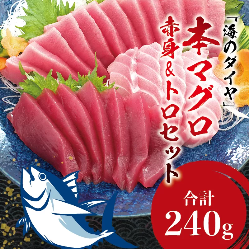 本マグロ（養殖）トロ＆赤身セット 240g 【１ヶ月以内に順次発送】 高級 クロマグロ 中トロ 中とろ まぐろ マグロ 鮪 刺身 赤身 柵 じゃばらまぐろ 本マグロ 本鮪