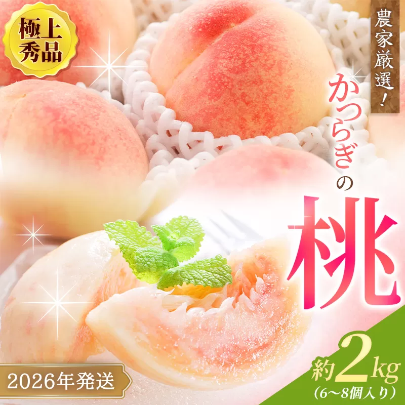 【先行予約】【厳選】あふれる果汁で口いっぱい！ 和歌山県産 桃 約2kg（6個~9個） 【2026年6月末頃〜2026年8月末頃に順次発送予定】（お届け日指定不可）/ 和歌山 桃 モモ フルーツ もも 白桃 果物 くだもの【kgr001A】