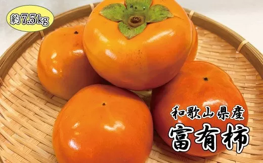 和歌山秋の味覚　富有柿　約7.5kg　※2024年11月上旬頃〜2024年11月下旬頃発送（お届け日指定不可）