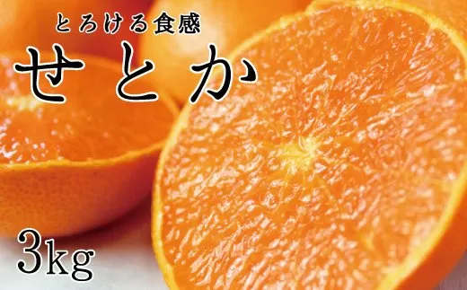 とろける食感!ジューシー柑橘 せとか 約3kg[予約]※2026年2月下旬頃〜2026年3月下旬頃発送(お届け日指定不可)※離島配送不可
