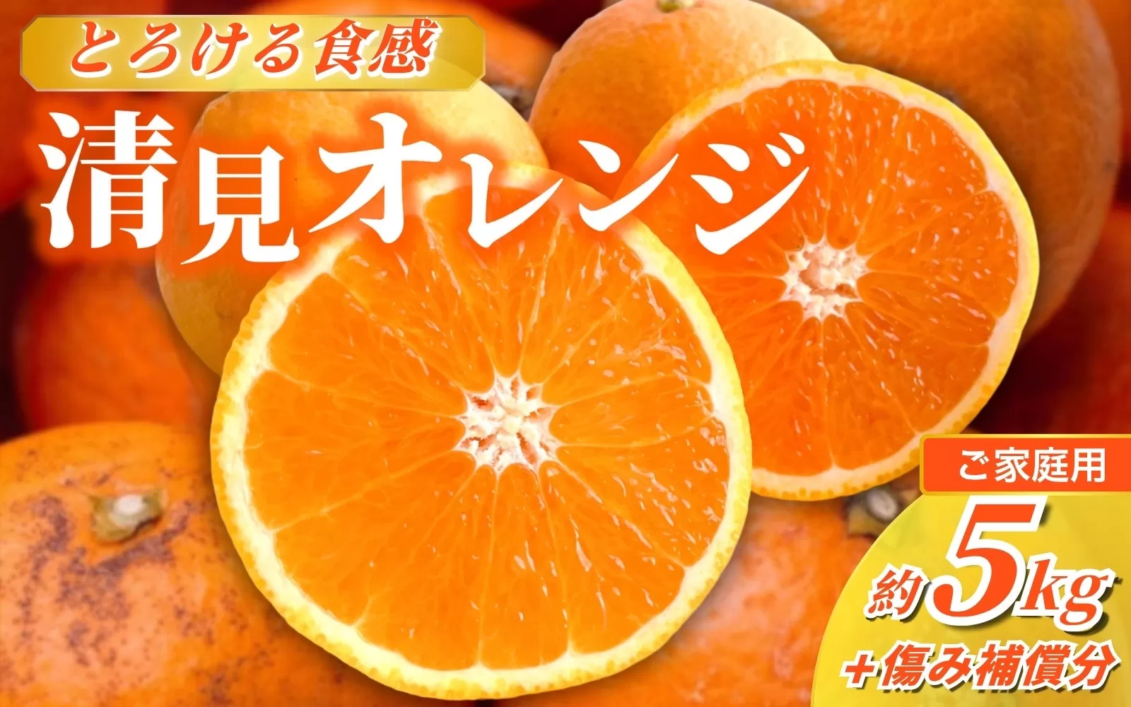 ＜2月より発送＞家庭用 清見5kg+250g（傷み補償分）【光センサー食頃出荷】【樹上完熟きよみオレンジ・清見タンゴール・清美】【わけあり・訳あり】