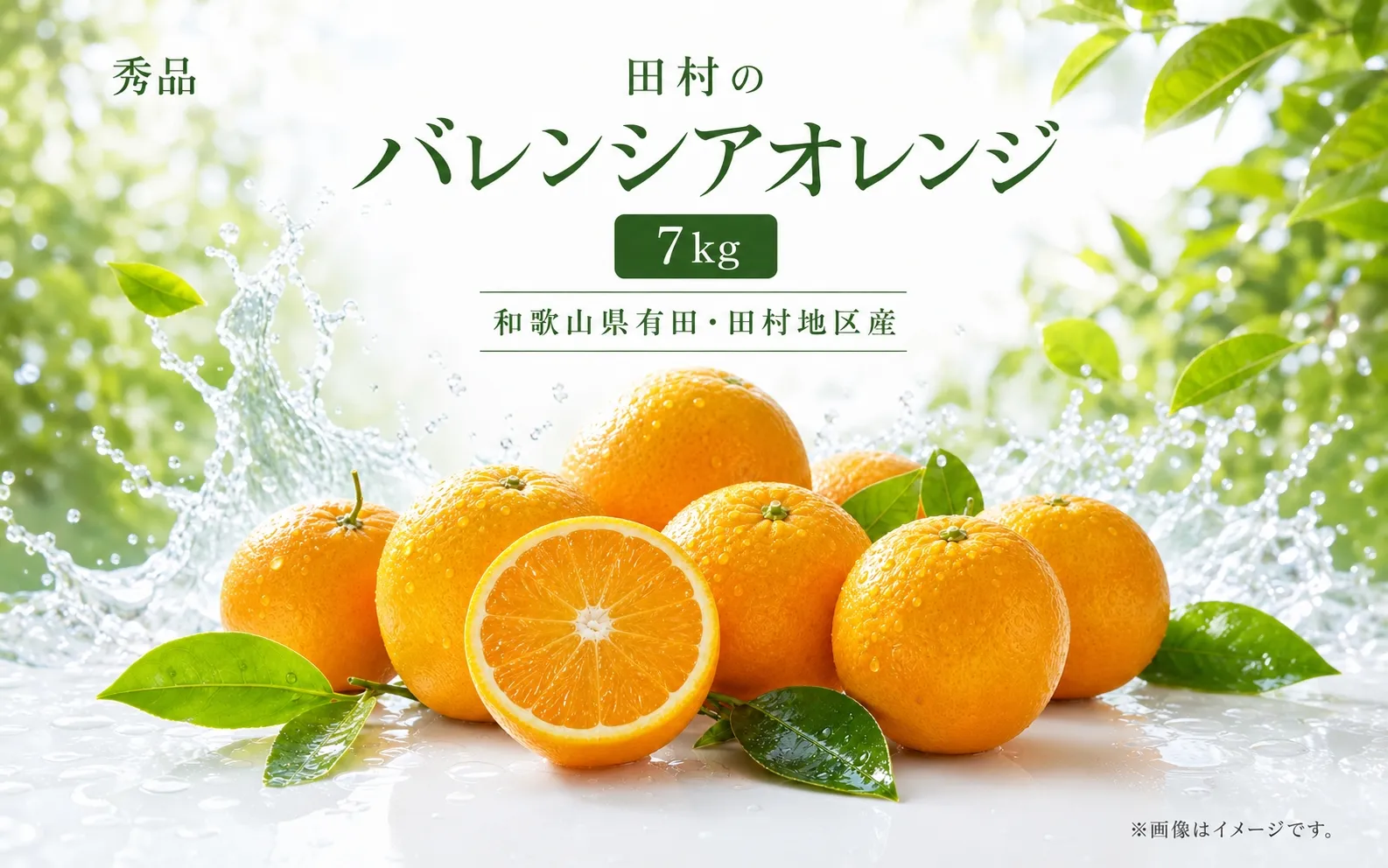 秀品　田村のバレンシアオレンジ　約7kg【2027年6月下旬頃～7月上旬頃順次発送予定】/ みかん くだもの フルーツ 【uot872】