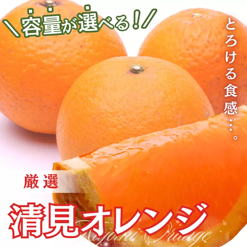 ＜2月より発送＞厳選 清見10kg+250g（傷み補償分）【光センサー食頃出荷】【樹上完熟きよみオレンジ・清見タンゴール・清美】