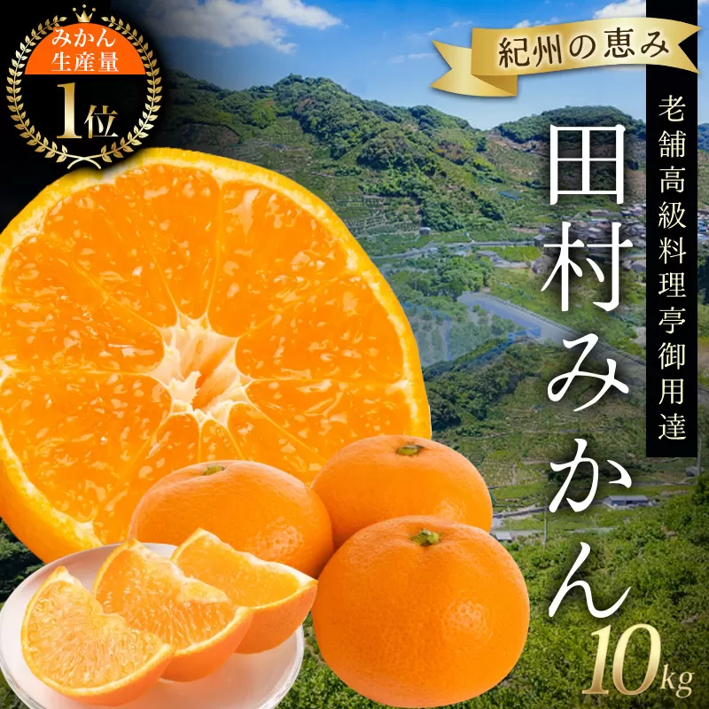 高級ブランド田村みかん 10kg[予約]※2025年11月下旬頃?2026年1月下旬頃に順次発送予定(お届け日指定不可) 和歌山 果物 フルーツ みかん 有田みかん