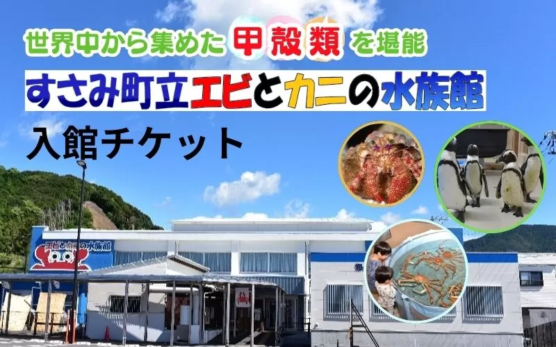 ＼たくさんの生物と触れ合える♪／　エビとカニの水族館 10名様チケット　