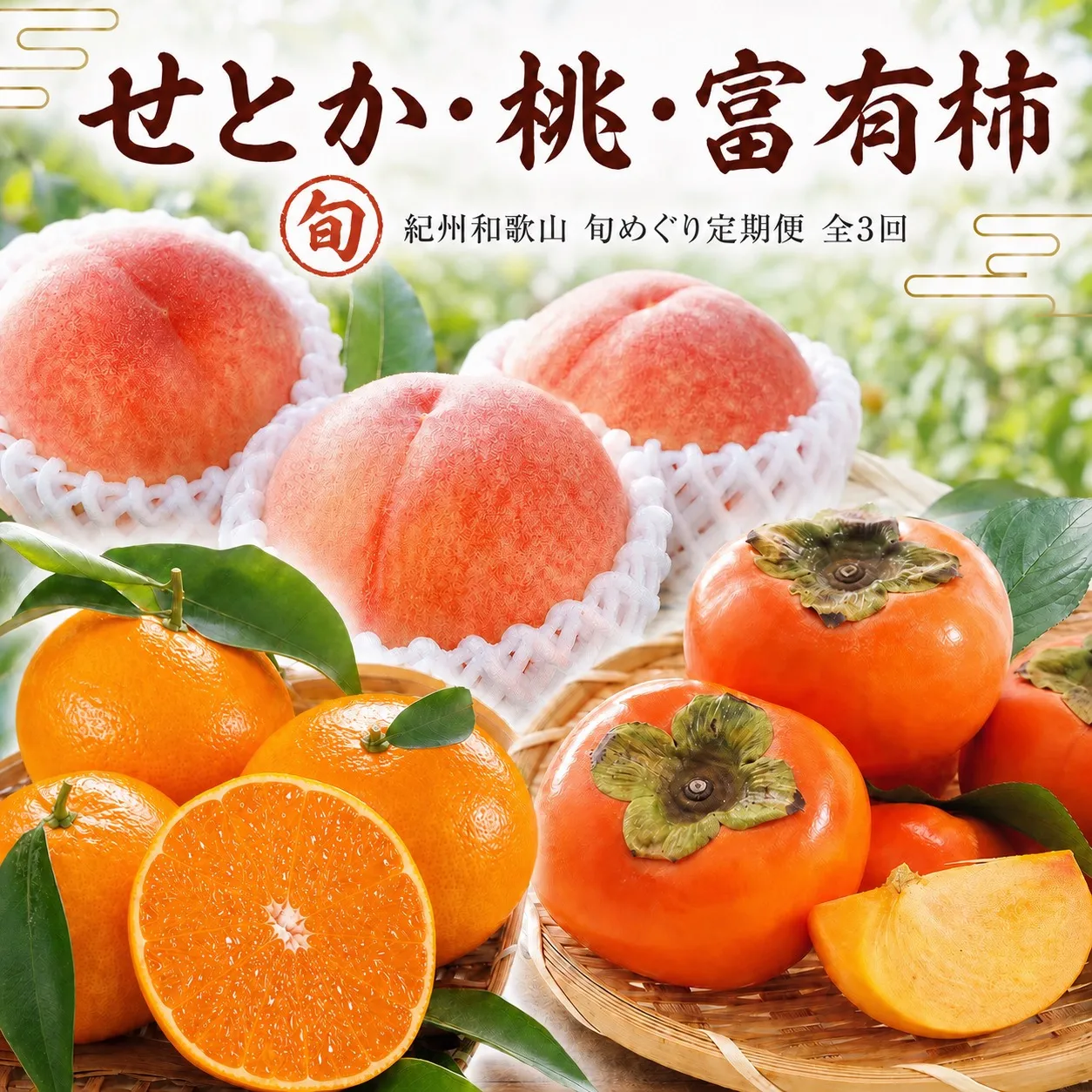 【全3回】紀州和歌山産旬のフルーツ定期便 (いちご・桃・有田みかん) 【tkb375】