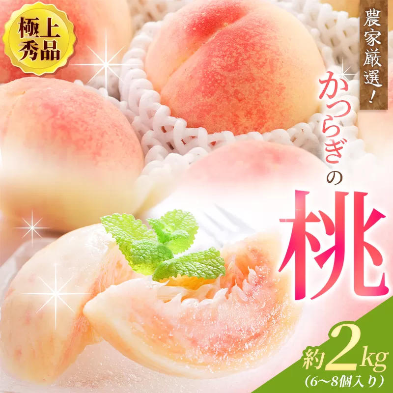 【先行予約】【厳選】あふれる果汁で口いっぱい！ 和歌山県産 桃 約2kg（6個~9個） 2025年6月末頃〜2025年8月末頃に順次発送予定（お届け日指定不可）/ 和歌山 桃 モモ フルーツ もも 白桃 果物 くだもの【kgr001】