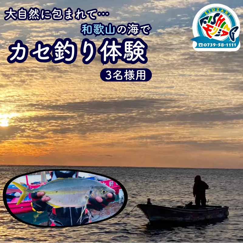 【3名様用】大自然に包まれて…和歌山の海でカセ釣り体験 (経験者向け) / 釣り 紀州 和歌山 南紀 船釣り イカダ釣り 釣り放題 のんびり 貸し切り 体験 【fms003】 