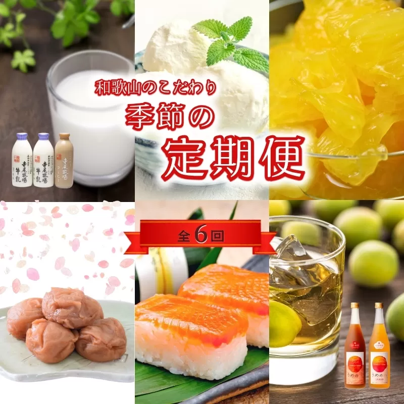 【定期便】【偶数月発送】【全6回お届け】 和歌山のこだわり　季節の定期便【tkb423】