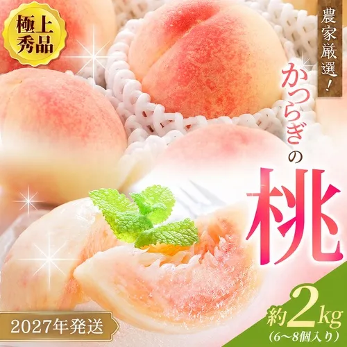 【先行予約】【厳選】あふれる果汁で口いっぱい！ 和歌山県産 桃 約2kg（6個~9個） 【2027年６月20頃～順次発送予定】（お届け日指定不可）/ 和歌山 桃 モモ フルーツ もも 白桃 果物 くだもの【kgr001B】