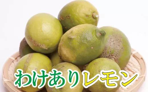＜先行予約＞わけあり レモン5kg+250g（傷み補償分）【和歌山有田産】【防腐剤・WAX不使用、安心の国産レモン】【わけあり・訳ありレモン】
