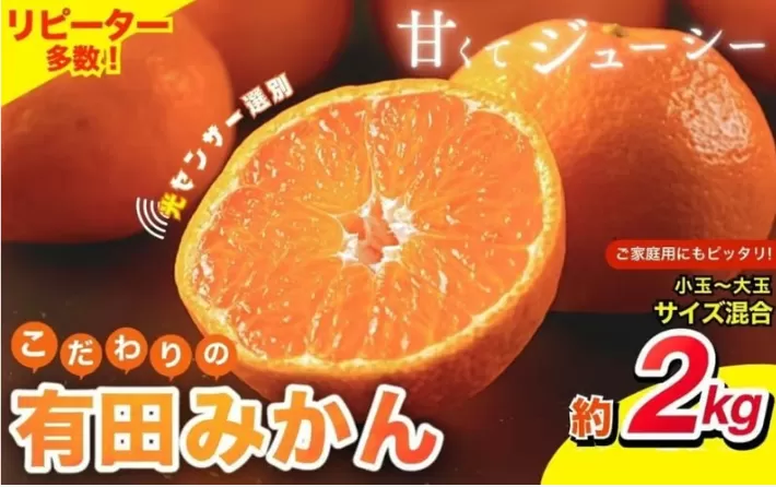 【2027年1月発送】【家庭用】こだわりの有田みかん  約2kg【1月発送】 ※北海道・沖縄・離島配送不可