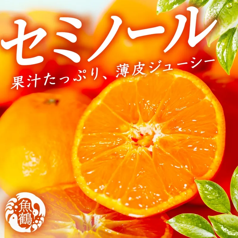 【先行予約】ジューシー柑橘　セミノールオレンジ　5kg 【5月上旬～5月下旬頃発送予定】