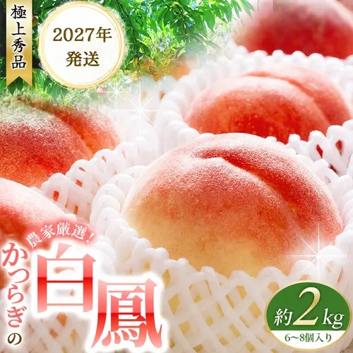 【予約受付】桃の王様 白鳳 <特秀品> 約2kg（6個~9個） 【2027年6月20頃～順次発送予定】（お届け日指定不可）/ 桃 もも 白鳳 フルーツ 果物 くだもの 【kgr009B】