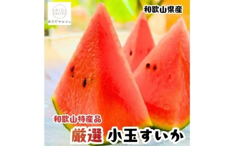 【先行予約】農家直送 厳選 小玉すいか Mサイズ/1玉入り【2027年6月上旬～6月下旬（順次発送予定）】【農家直送】【大人気】【和歌山県産】
